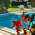 Appartement Garden