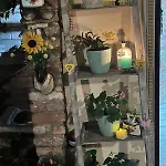 Garden *