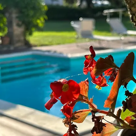 Appartement Garden