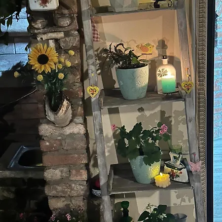 Garden *